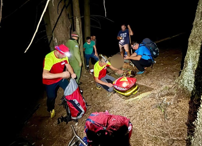 Arges Atac violent al unui urs Barbat ranit