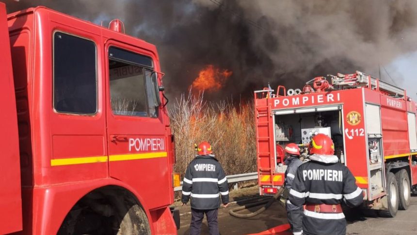 Arges Incendiu violent Doua hectare distruse de flacari