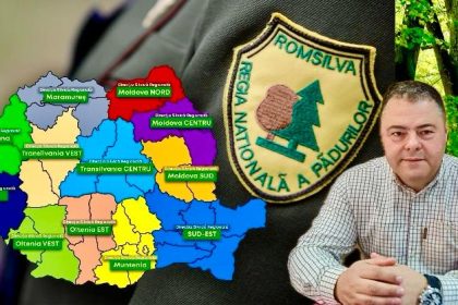Directia Silvica se dezmembreaza Raman doar