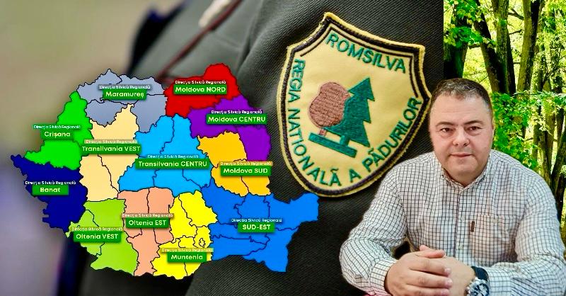 Directia Silvica se dezmembreaza Raman doar