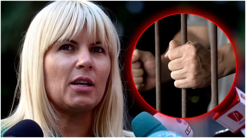 I s a intamplat Elenei Udrea acum