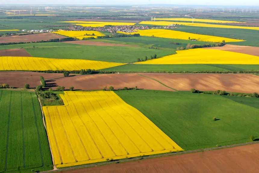 Romanii cu tereni agricole pot castiga mult in 2025