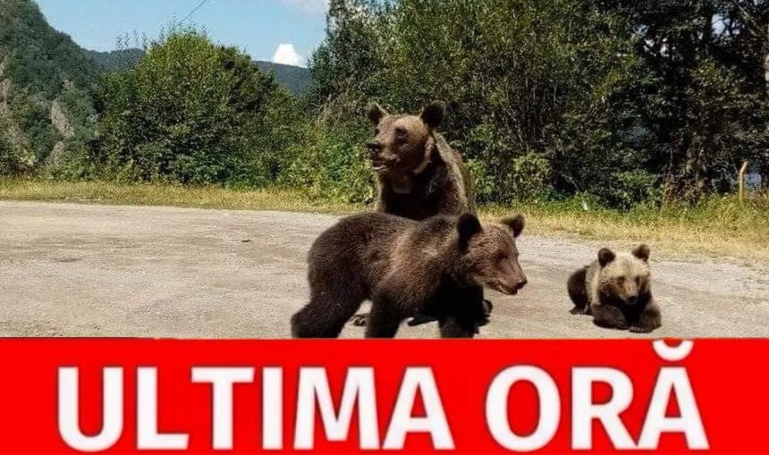 S a emis RO ALERT in Arges