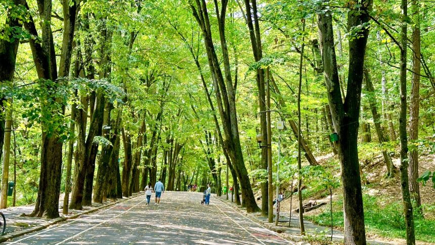 S a semnat contractul de peste 600 000 lei Schimbare majora in