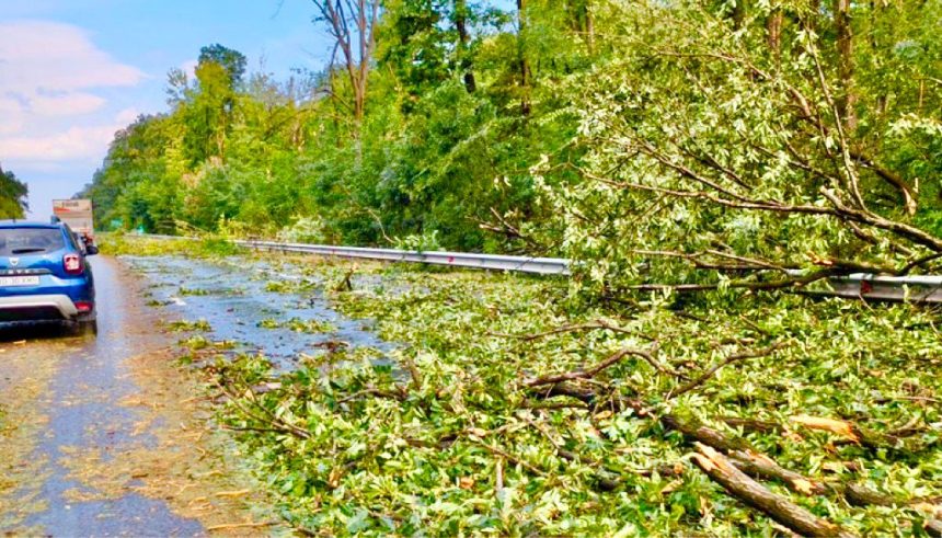 Scene apocaliptice pe A1 Parca a trecut uraganul