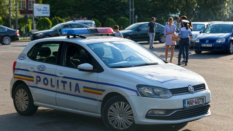 Soferii cu caini sau pisici in pericol de inchisoare