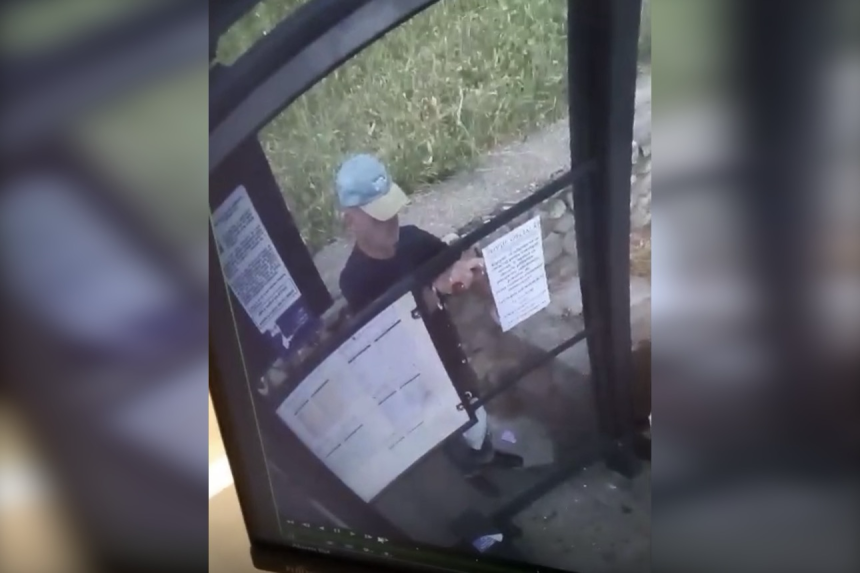 VIDEO Po Iia Locala Piteti n alert A fost filmat n