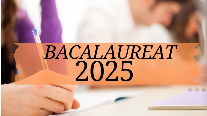 Arges Bac 2025 sesiunea de toamna Zeci de abenti
