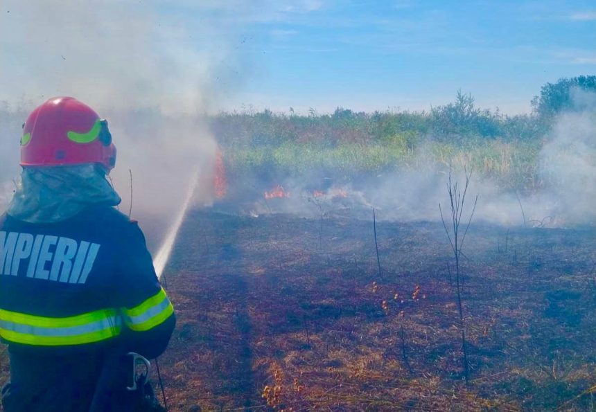 Dezastru in Arges 12 hectare mistuite de flacari