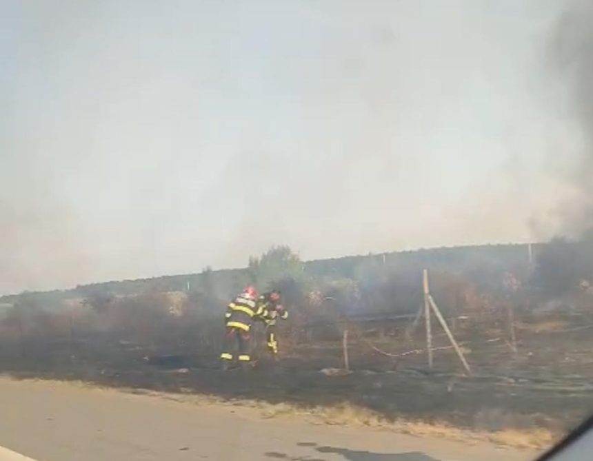 Incendii repetate in Arges Flacari pe Autostrada