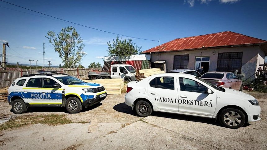 Arges Peste 550 mc de lemn disparuti din depozite