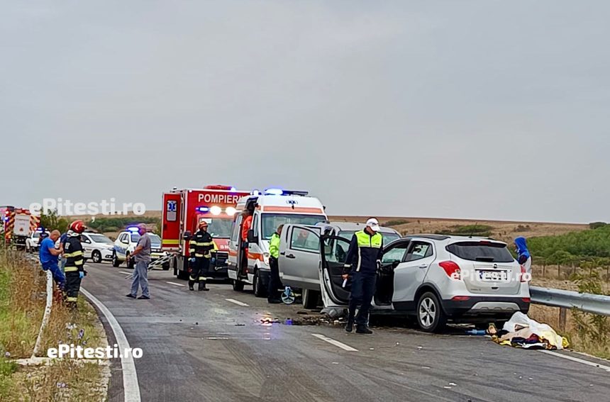 Arges Sofer mort si angajati ai unei firme de