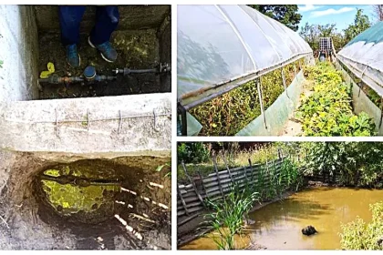 Arges Trei familii prinse cu bransamente ilegale