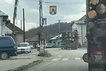 Captura uriasa Transport ilegal de lemn la Budeasa
