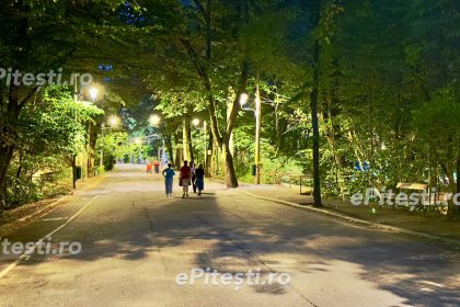 Ce s a intamplat in Padurea Trivale