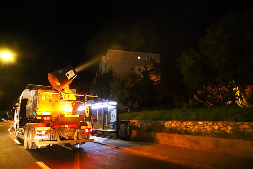 Dezinsectie la Pitesti stropiri anti tzantsari noaptea