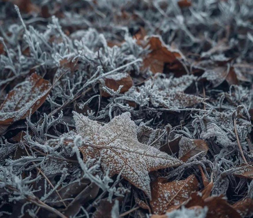 Dimineata de toamna cu temperaturi sub zero