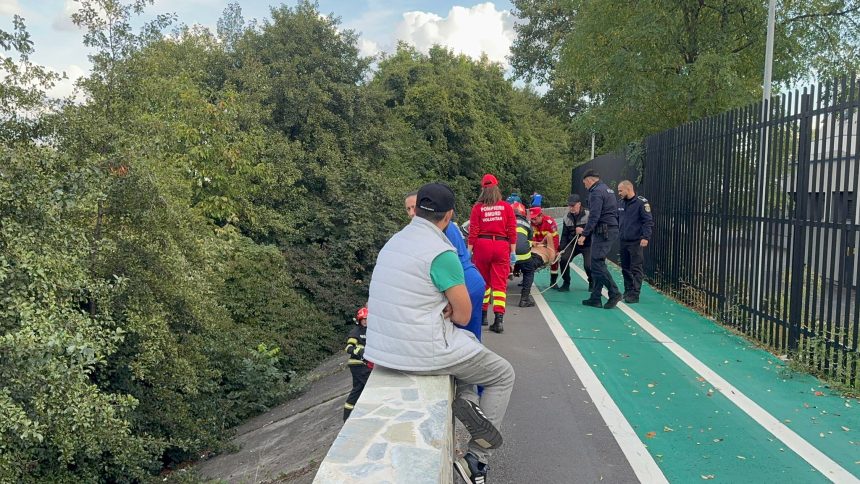 Piteshti Barbat cazut de pe digul Bazinului