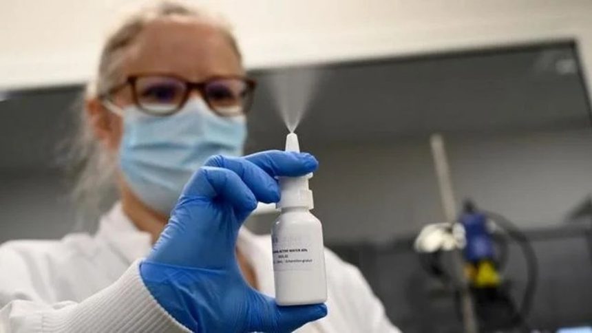 Un spray nazal obisnuit ar putea reduce riscul de infectie