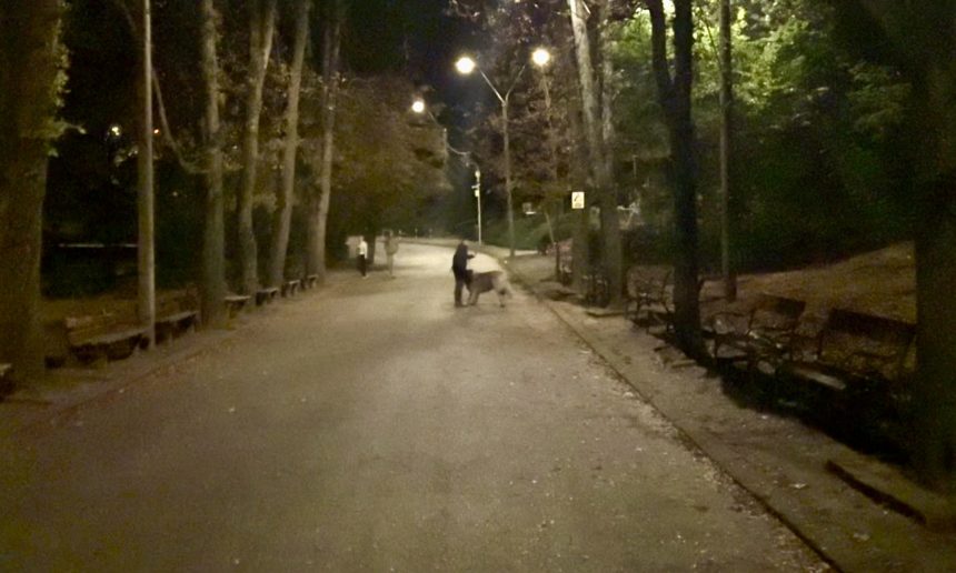 Ursul plimbat prin Trivale scandal cu stapanul