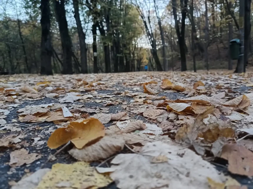 Vreme neobisnuita Se preconizeaza o toamna diferita