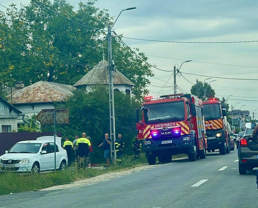 incendiu la intrarea in pitesti anexa in flacari