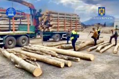 Arges Poilitistii au confiscat un camion cu lemne