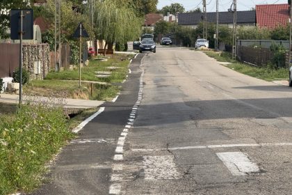 Filmat cand isi abandoneaza cainii pe drum