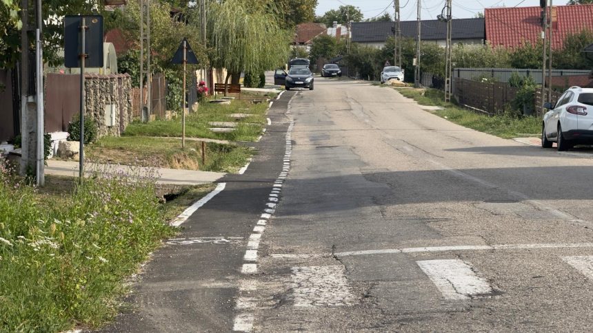 Filmat cand isi abandoneaza cainii pe drum