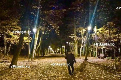 Pitesti Politistii locali au descins in padure