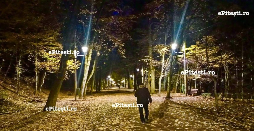 Pitesti Politistii locali au descins in padure