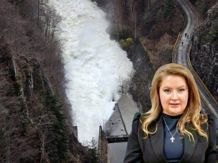 Tanara prefecta Ioana Facaleata impune control in Arges