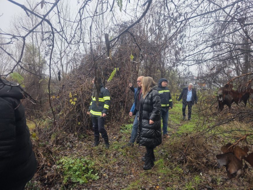 Tanara prefecta a Argesului reactie rapida Institutii