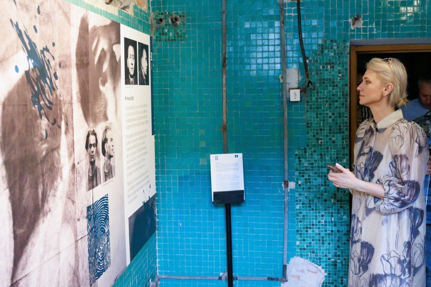 Alina Gorghiu a fost depus un proiect de lege