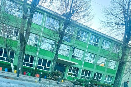 Arbore cazut langa Scoala Tudor Vladimirescu