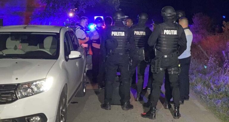 Arges Trei tineri au spart o gospodarie 1