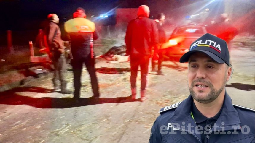 IPJ Arges noi informatii despre accidentul grav cu atelaje