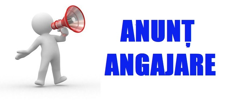 Primaria din Arges angajeaza personal