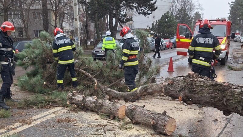 Prpd n Arge Fenomene violente au devastat zona