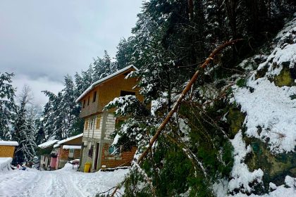 Arges Dezastru la Rucar Copaci cazuti peste case