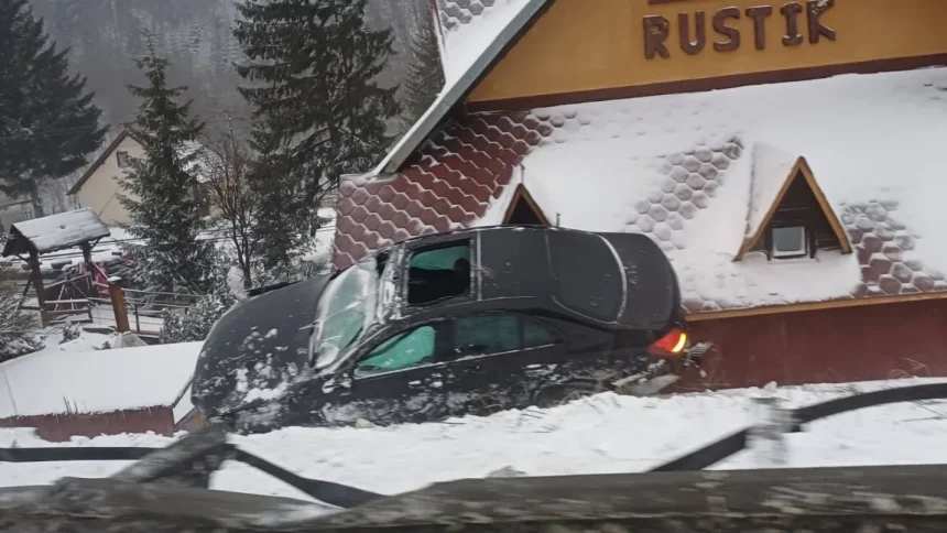 Asa ceva nu vezi mereu A ajuns pe acoperis