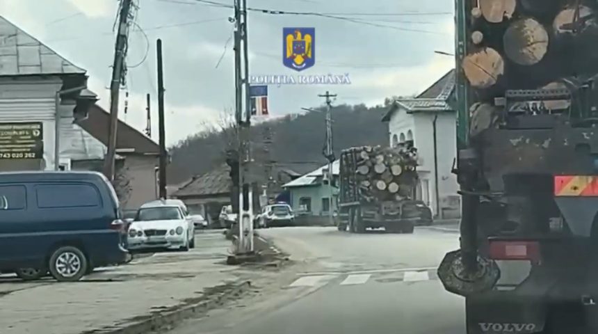 Captura impresionanta Transport ilegal de lemn descoperit in Arges