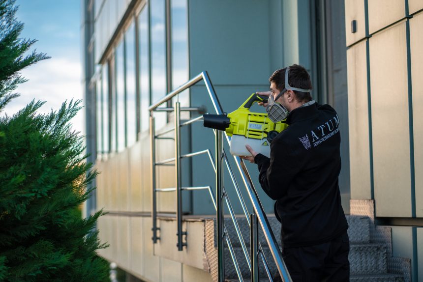 Deratizarea profesionala cerinta legala si garantie de siguranta