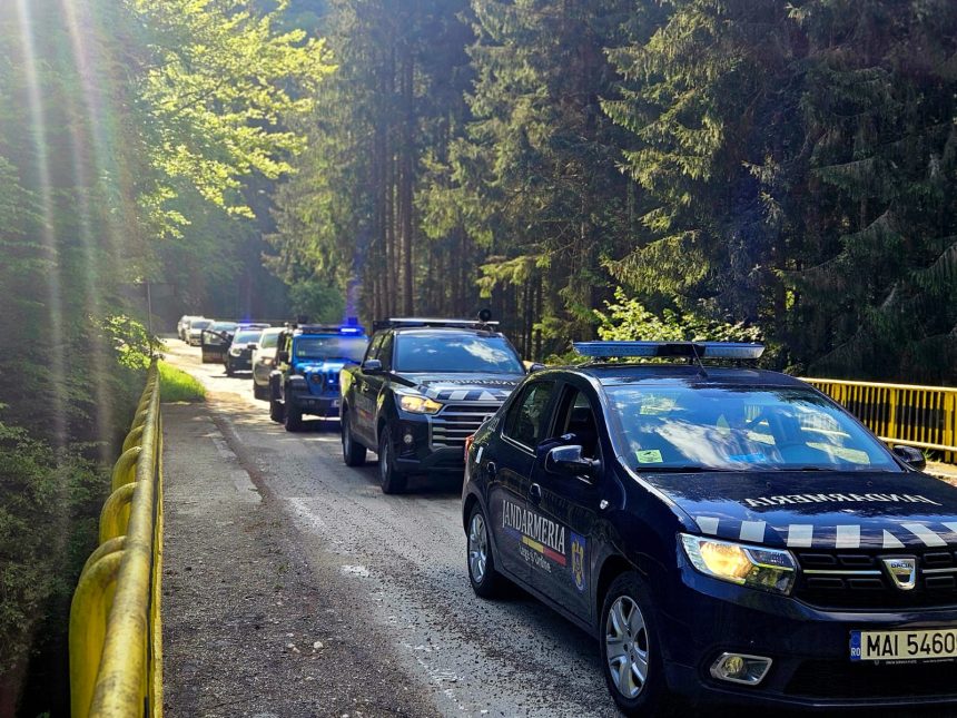 Interventii rapide ale jandarmilor in Arges