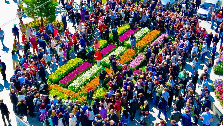 Piteshti Este OFICIAL Ce se va intampla la Simfonia Lalelelor