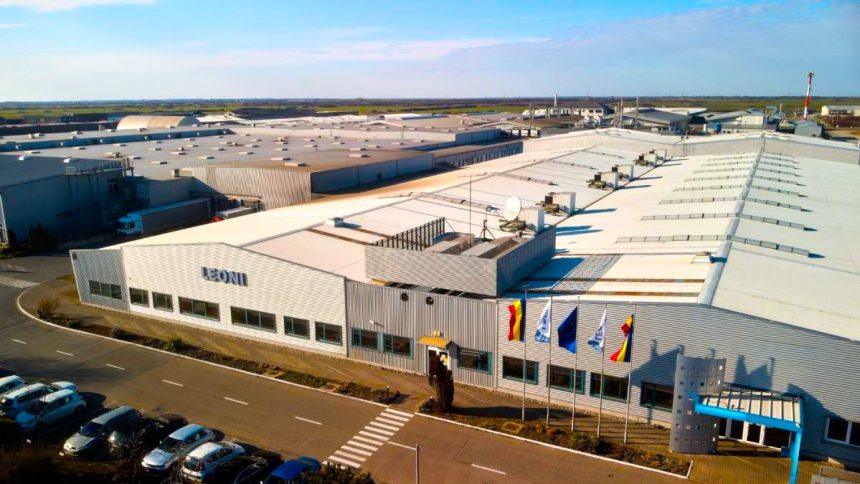 concedieri la fabrica leoni din arad