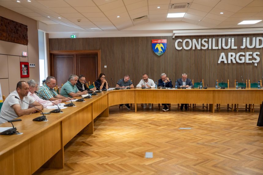 decizie importanta a consiliului judetean arges