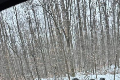 Accident grav pe DN7 Pitesti Valcea O masina s a rasturnat