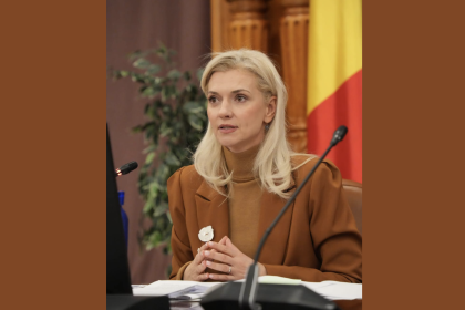 Alina Gorghiu Clarific Este doar un alt fals