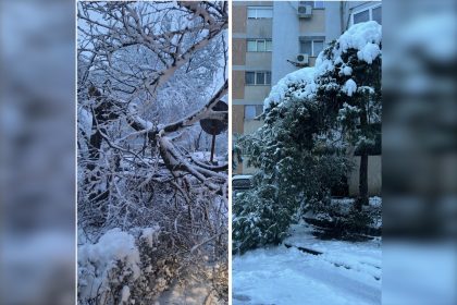 Copaci cazuti la Pitesti Pompierii intervin